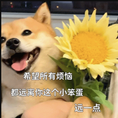 图片 4.png